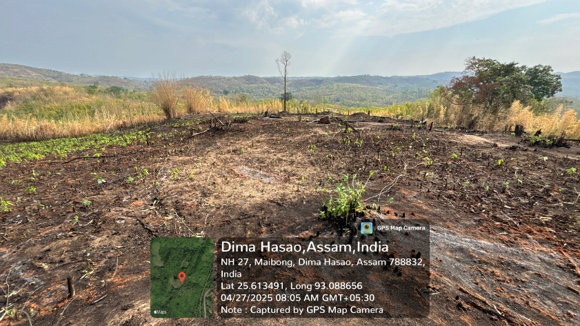 Hatikhali jhum cultivation